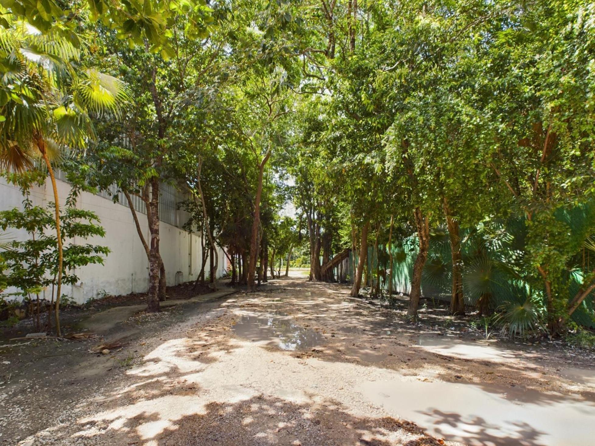 Villa Casa Kuaan Mani Th 1 à Tulum Extérieur photo